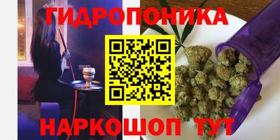 бошки Ливны