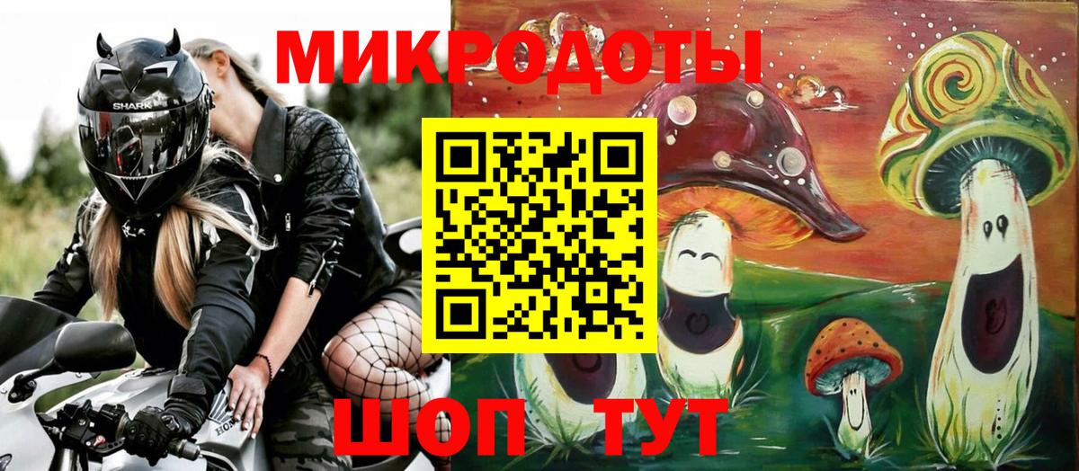 Гусиноозёрск  Псилоцибиновые грибы Psilocybe  Вход с VPN 